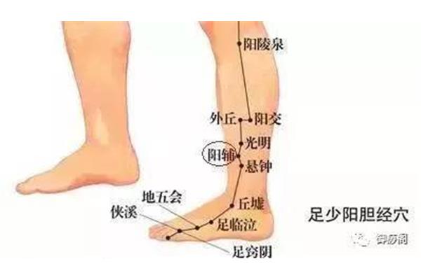 什么头什么足