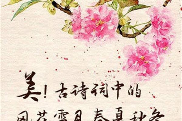 含有花的古诗