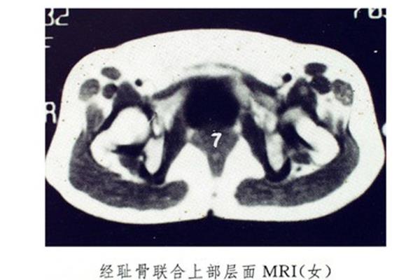 成人网站网址大全