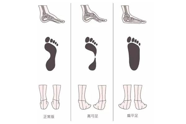 什么头什么足
