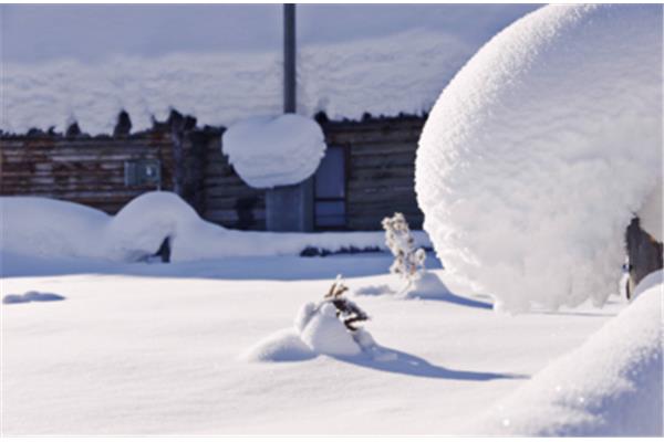 关于描写雪的诗句