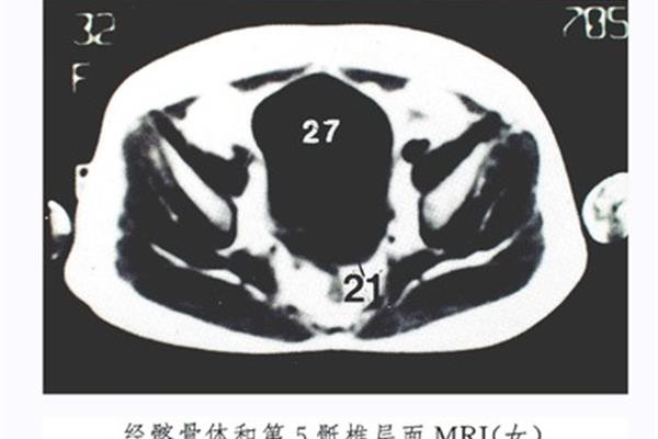成人网站网址大全