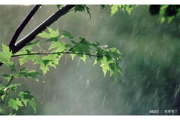 雨点的声音