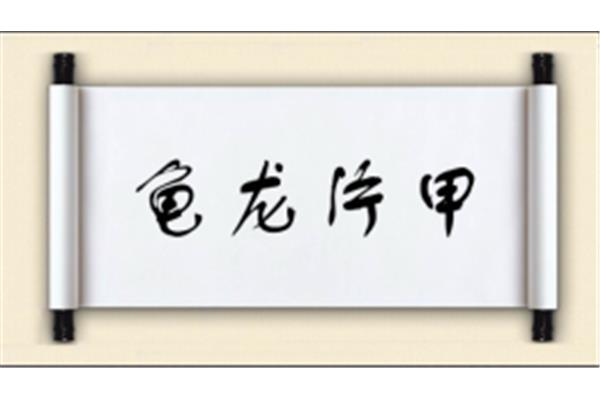 龙开头的成语