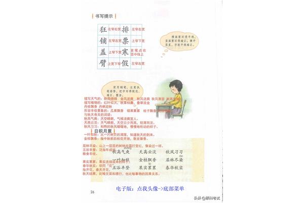 三年级语文辅导
