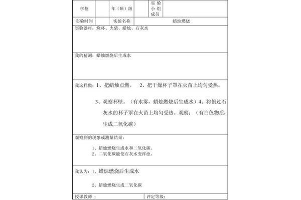 科学实验报告