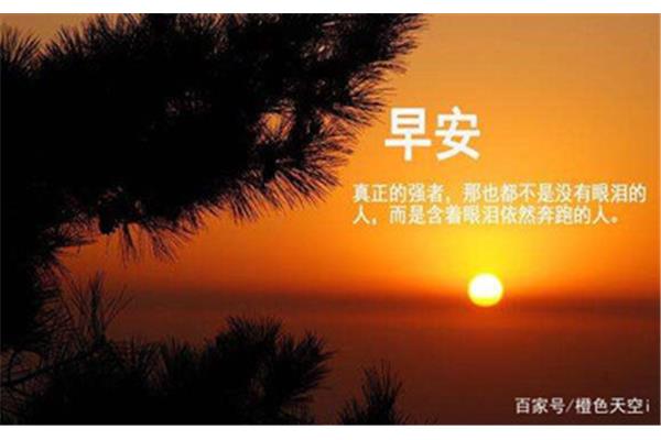 朝着阳光奔跑
