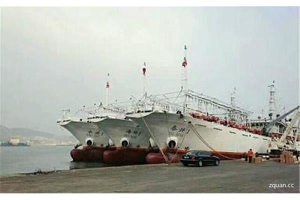 船舶招聘网
