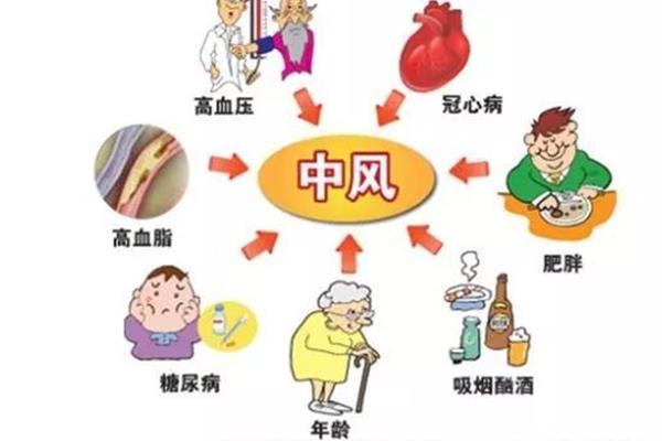 中风的原因
