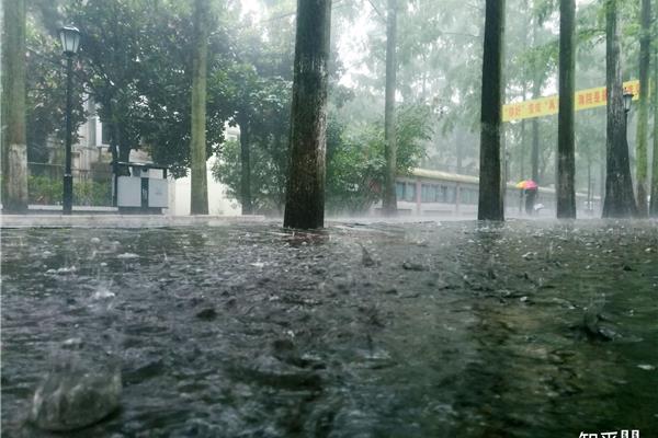 什么样的雨