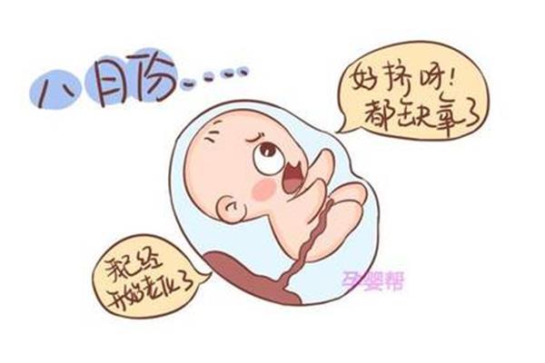 胎儿缺氧的原因