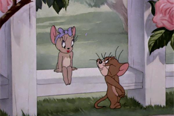 小小猫和老鼠