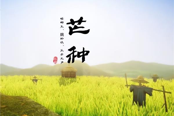 盛夏的诗句