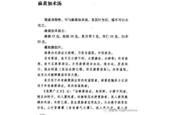麻黄加术汤