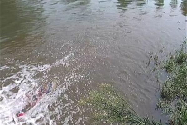 什么河里没有水
