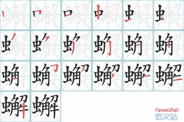 虫的笔顺怎么写