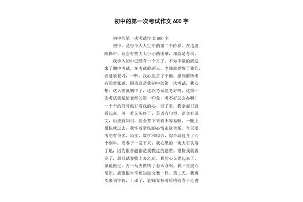 考试作文600字
