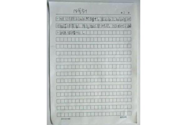 雷锋的作文