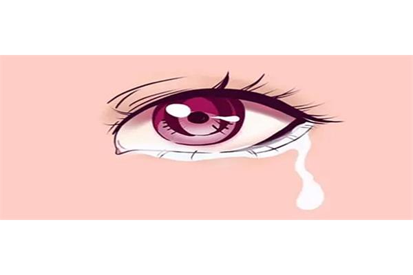 噙泪的拼音