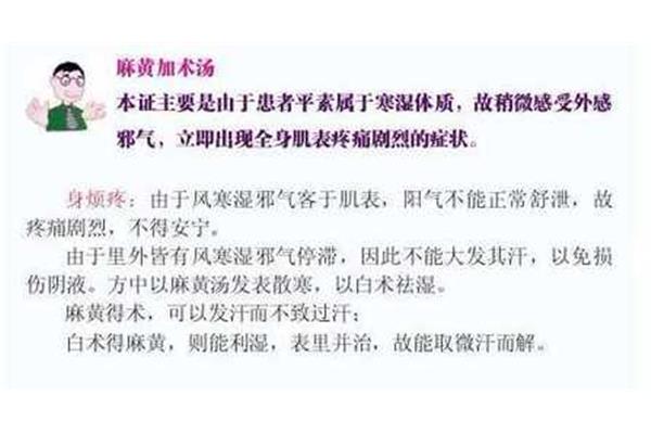 麻黄加术汤
