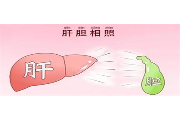 坦诚的近义词