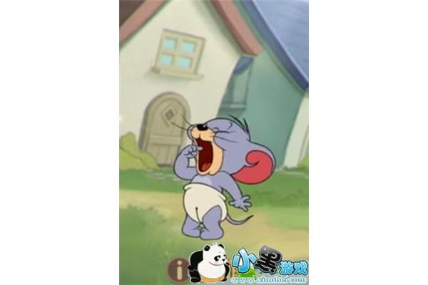 小小猫和老鼠