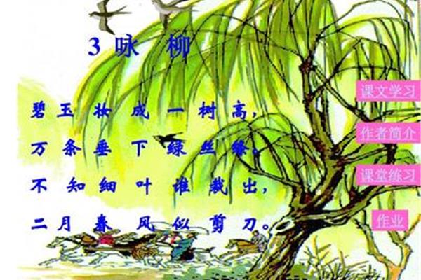 咏柳的作者是谁
