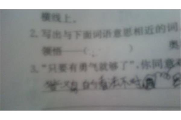 笼罩近义词