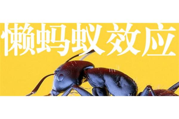 懒蚂蚁效应