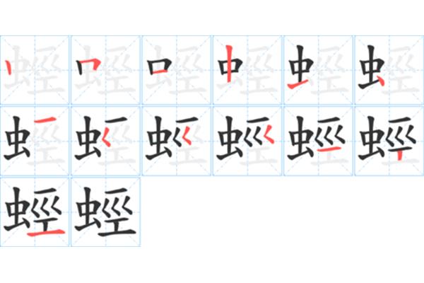 虫的笔顺怎么写