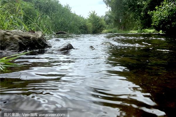 什么河里没有水