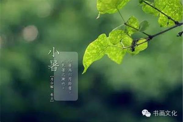 盛夏的诗句