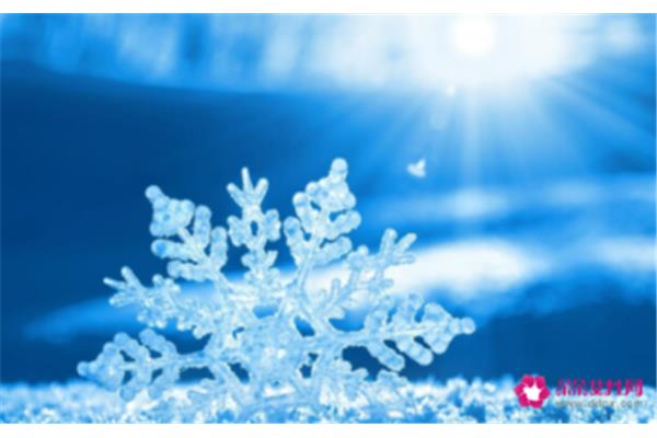 描写雪花的句子