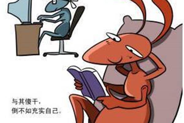 懒蚂蚁效应