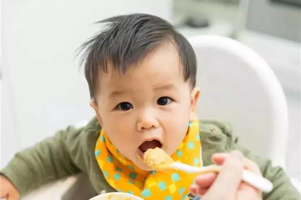 1岁宝宝辅食大全