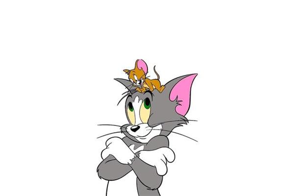 小小猫和老鼠