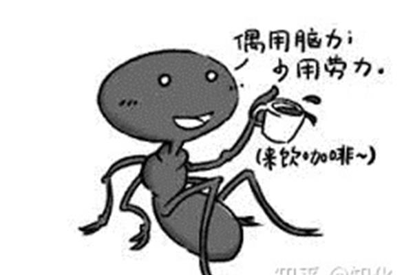 懒蚂蚁效应