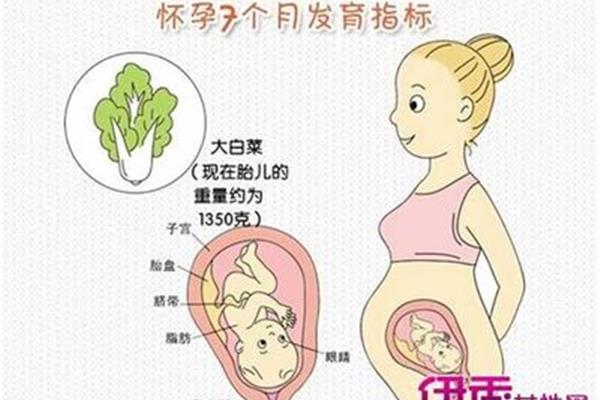 胎儿缺氧的原因