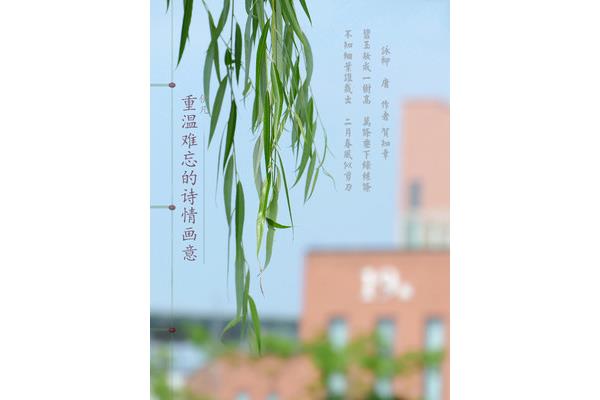 咏柳的作者是谁
