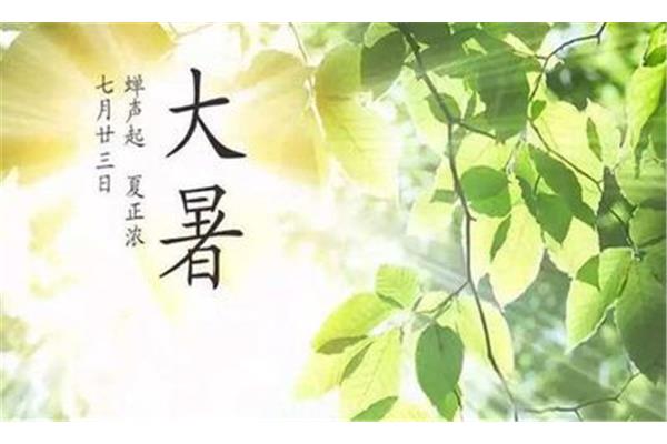 描写夏天诗句