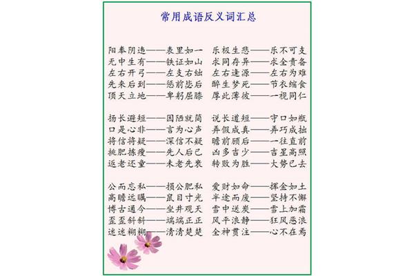 绽开近义词