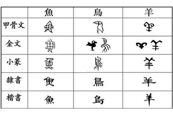 汉字的演变历史