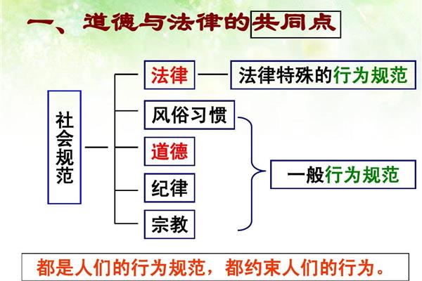法律与道德