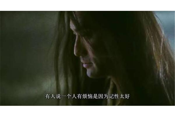 东邪西毒经典台词