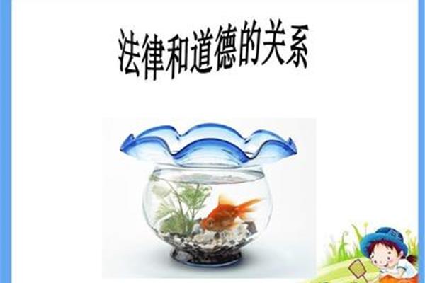 法律与道德