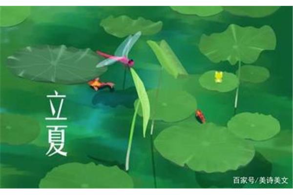 什么样的池塘