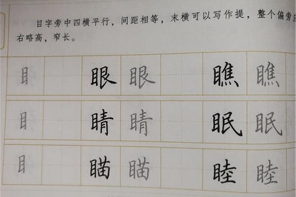 目字旁有哪些字