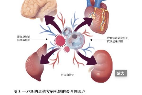 多器官功能衰竭
