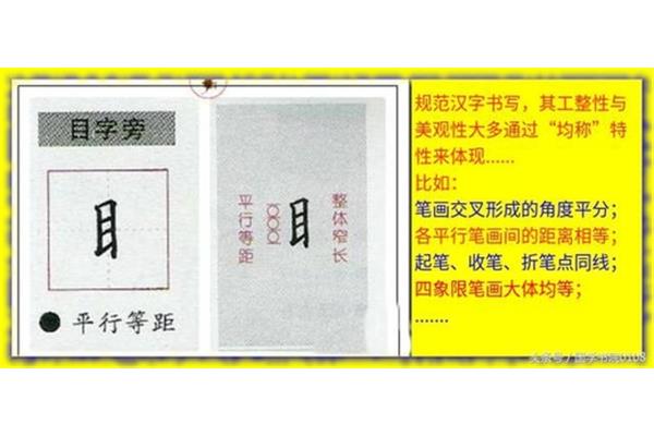 目字旁有哪些字