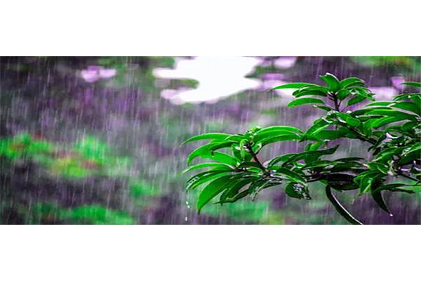 形容雨的成语